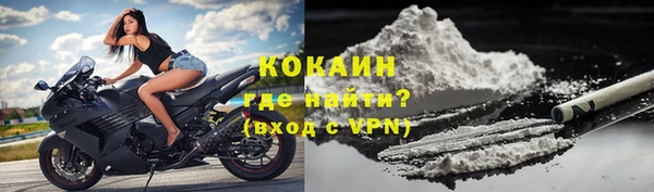 ПСИЛОЦИБИНОВЫЕ ГРИБЫ Аркадак