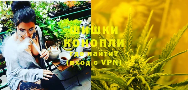 ПСИЛОЦИБИНОВЫЕ ГРИБЫ Аркадак