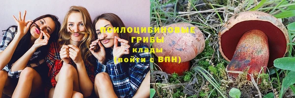 тгк Армянск