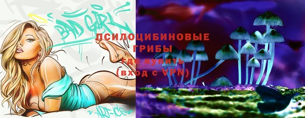 СК Арсеньев