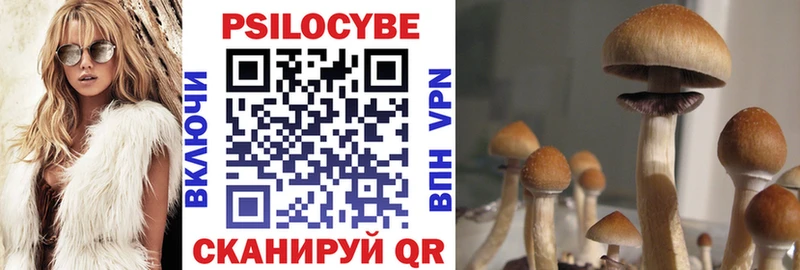магазин продажи   Бор  Галлюциногенные грибы Magic Shrooms 